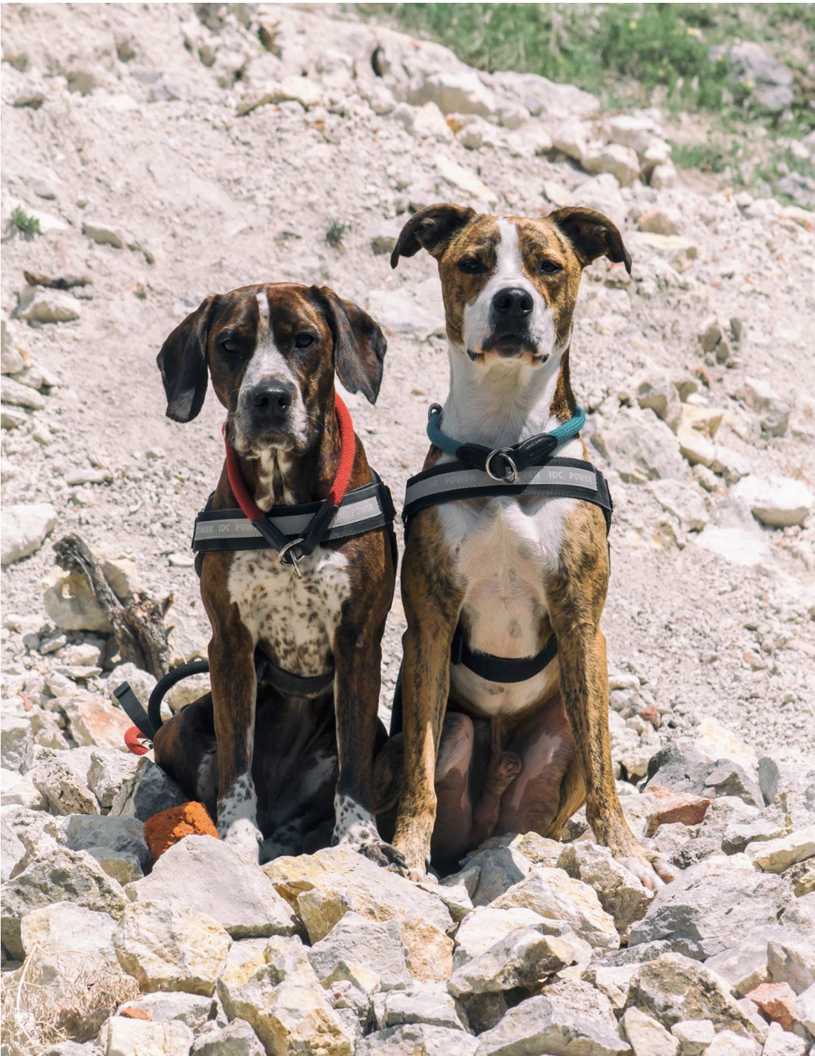 Snímka obrazovky 2022-01-03 o 22.05.27